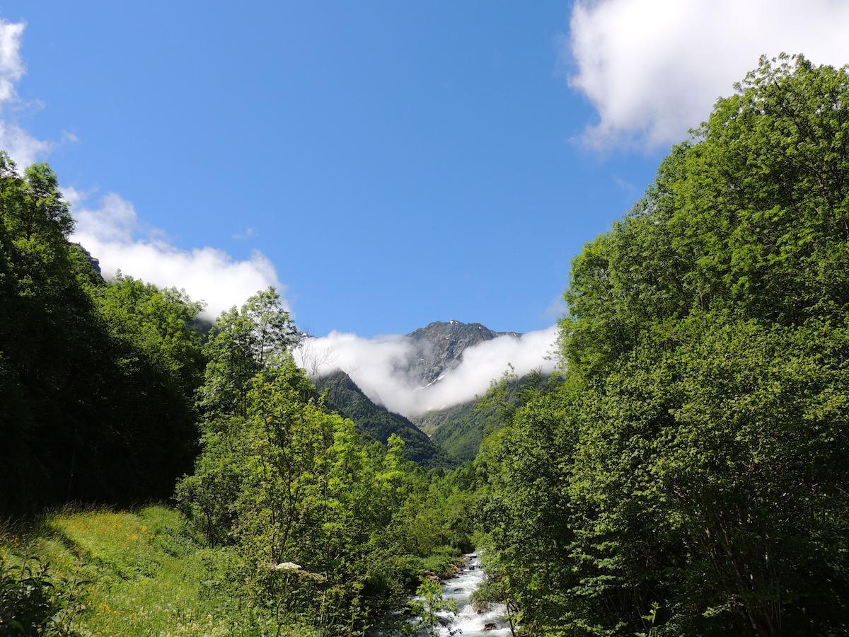 Auberge Les Myrtilles Couflens Esterno foto