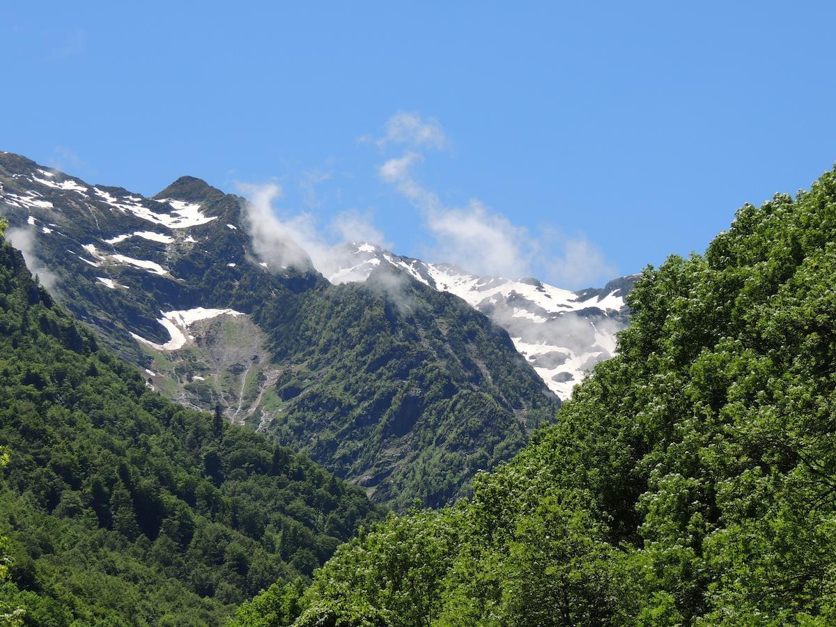 Auberge Les Myrtilles Couflens Esterno foto
