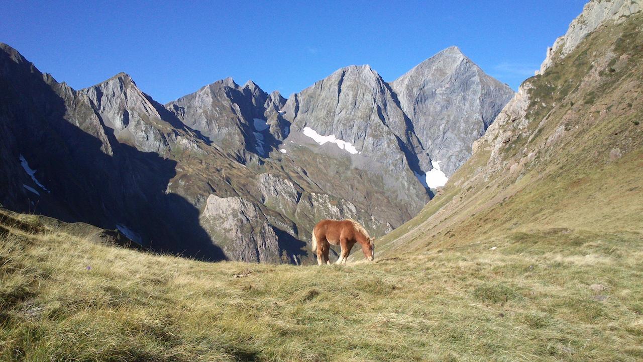 Auberge Les Myrtilles Couflens Esterno foto