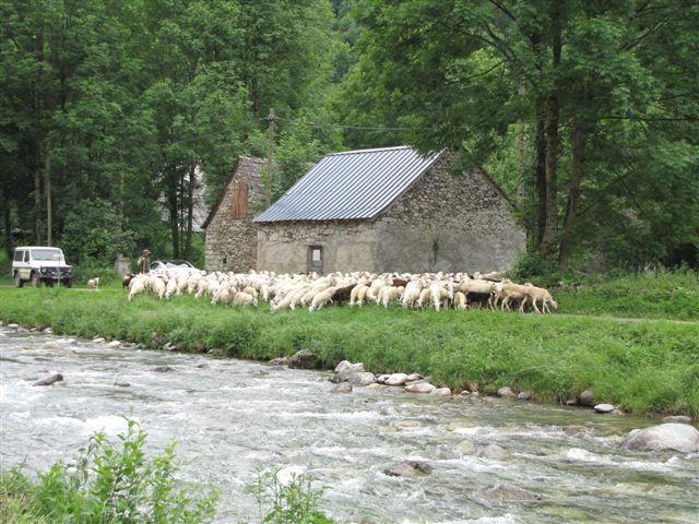 Auberge Les Myrtilles Couflens Esterno foto